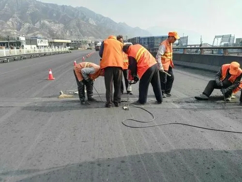 丰台道路桥梁病害治理